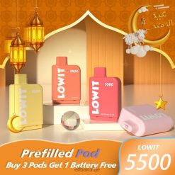 Elf Bar Slovenia - ELFBAR LOWIT 5500 vnaprej napolnjen strok borovničev led H4T0F374