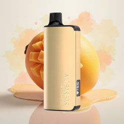 Alibarbar Ingot 9000 Puffs 22ml 2350mah LED Mangova Čarovnija