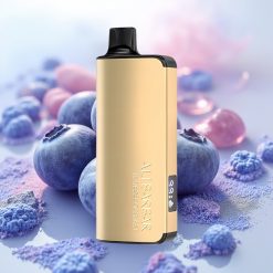 Alibarbar Ingot 9000 Puffs 22ml/2350mah LED Priročna Vape Borovnični Okus