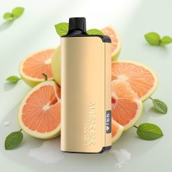 Alibarbar Ingot 9000 Puffs Enkratna Vapa Hladna Meta 22ml 2350mAh LED 1.2 Ohm