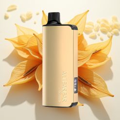 Alibarbar Ingot 9000 Puffs Enkratna Vape Tobak 22ml 2350mAh LED