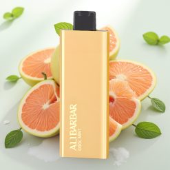 Alibarbar Pandora 7000 Puffs Disposable Vape Hladna Meta 17 ml 1.0 Ω 70 g