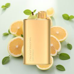 Alibarbar Rich 8000 Puffs Enkratna Vapa Menthol Svežina 20ml 2000mAh