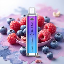 Hayati Pro Max 4000 Puffs Disposable Vape Borovnica Malina 28×28×120mm 2ml/10ml 2%/5% 1400mAh