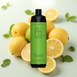 RandM Fumot Shisha 10000 Puffov Enkratna Vape LED 18ml 850mAh Tip-C Limona Meta