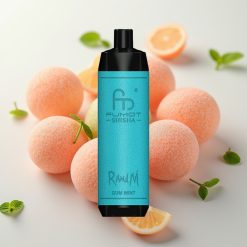 RandM Fumot Shisha 10000 Puffs LED Indikator 18ml 850mAh 0.6ohm Type-C 0.5% Nikotin Gum Mint