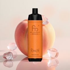 RandM Fumot Shisha 10000 Pufov LED Indikator 18ml 850mAh 0.6ohm Type-C Breskova Ledena